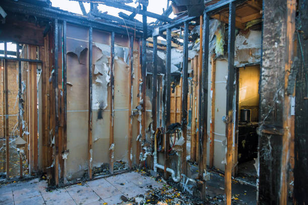 Professional Odor Removal technician working in Highland, CA